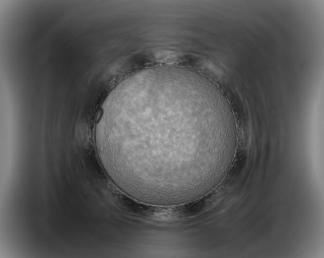 X0000086770705200704201805