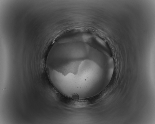 X0000086770707200704201805