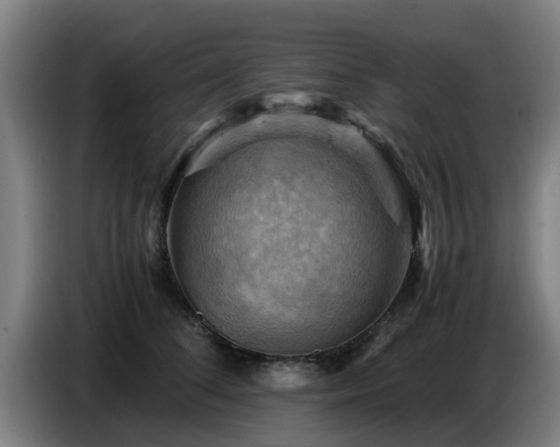 X0000086770708200704201805