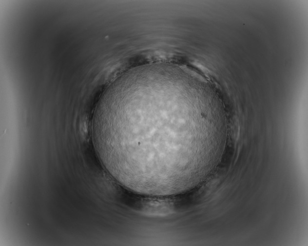 X0000086770709200704201805