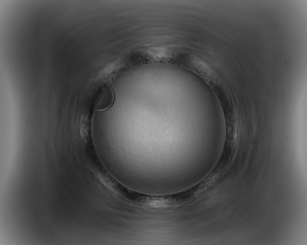 X0000086770710200704201805