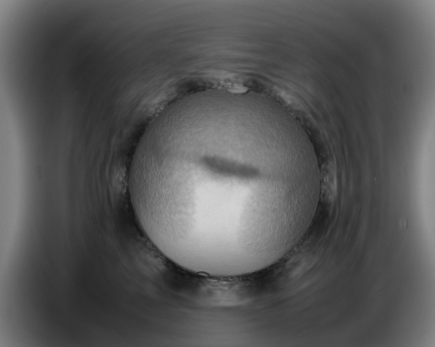 X0000086770713200704201804