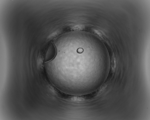 X0000086770714200704201804