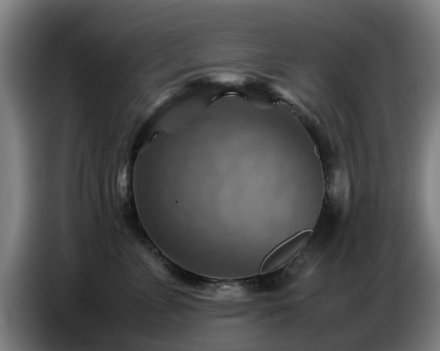 X0000086770715200704201804