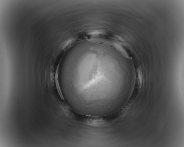 X0000086770716200704201804