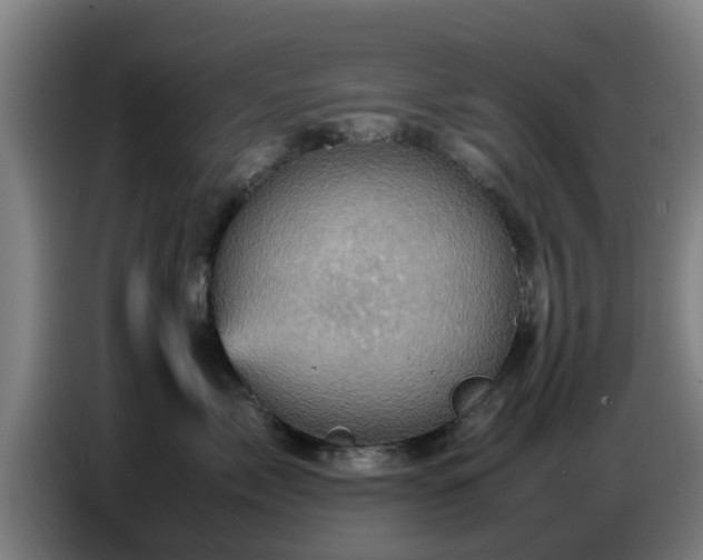X0000086770717200704201804