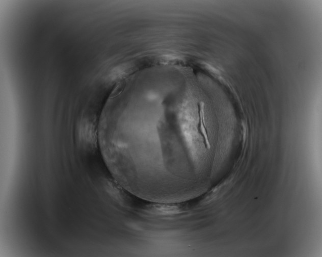 X0000086770719200704201804