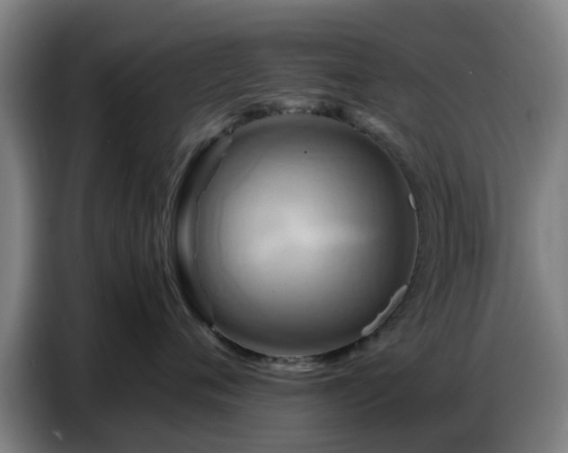 X0000086770720200704201804