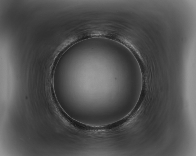 X0000086770721200704201804