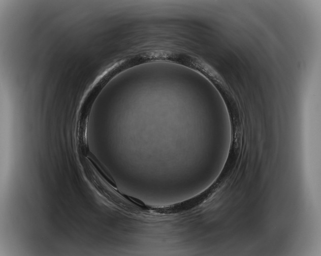 X0000086770722200704201804