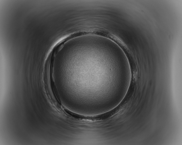 X0000086770724200704201804