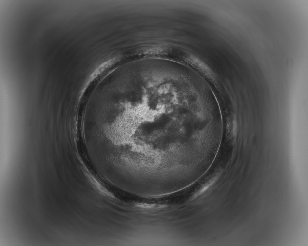 X0000086770725200704201804