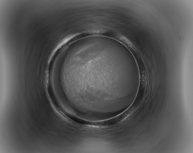 X0000086770726200704201804