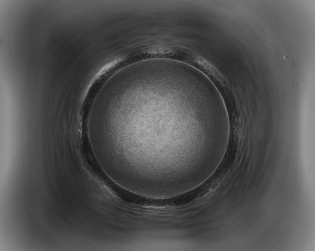 X0000086770727200704201804