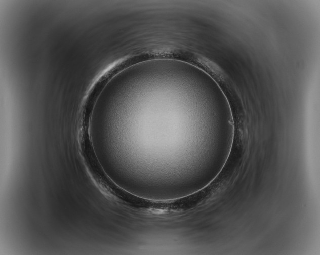 X0000086770728200704201804