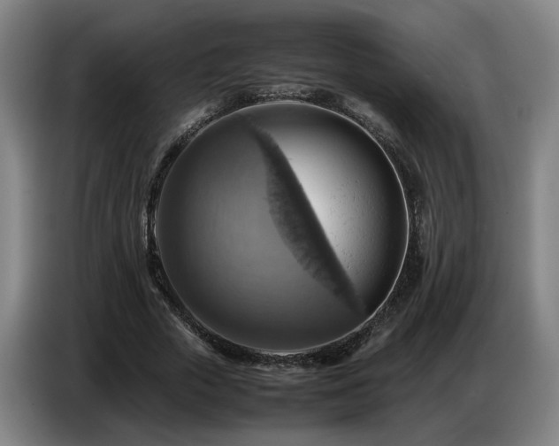 X0000086770729200704201804
