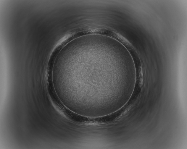 X0000086770730200704201804