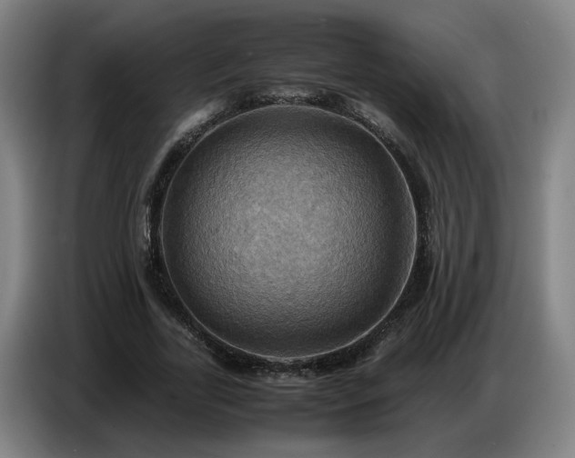 X0000086770731200704201804