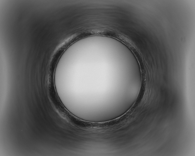 X0000086770732200704201804