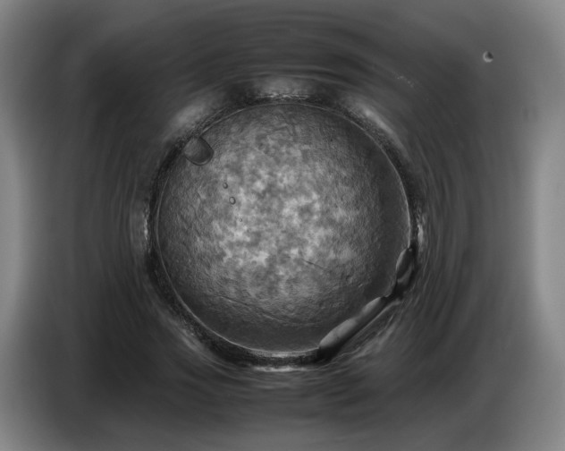 X0000086770733200704201804