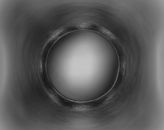 X0000086770734200704201804