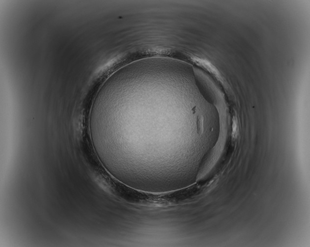 X0000086770736200704201804