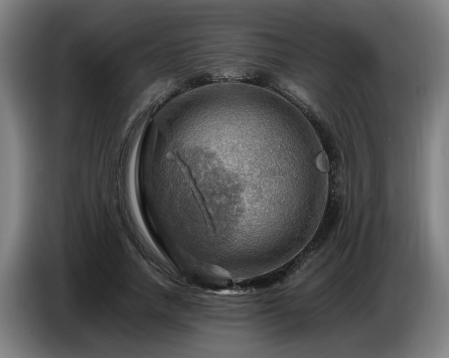 X0000086770738200704201804