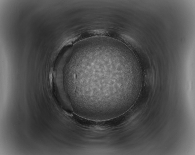 X0000086770739200704201804
