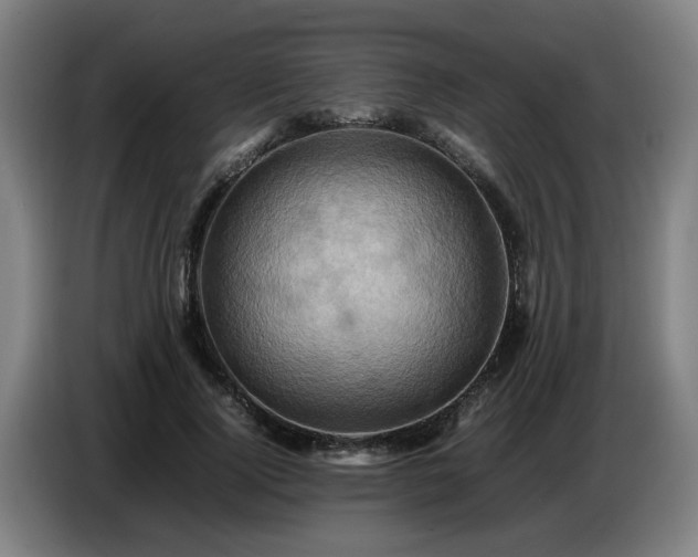 X0000086770740200704201804