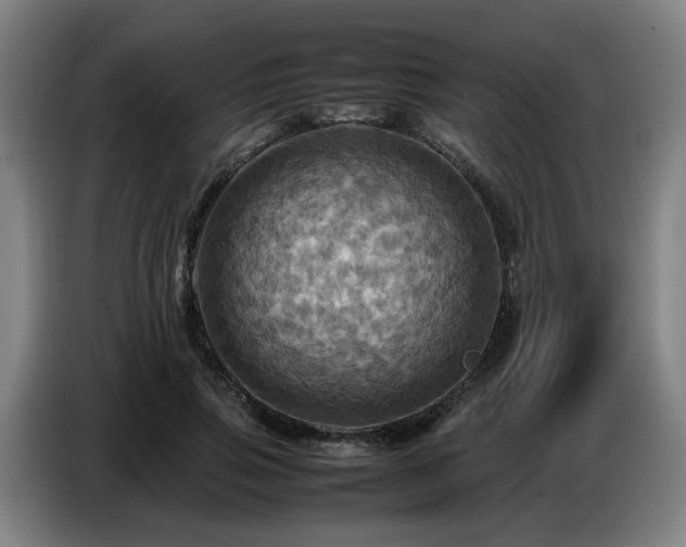 X0000086770741200704201804