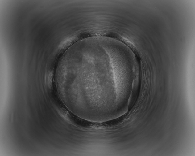 X0000086770742200704201804