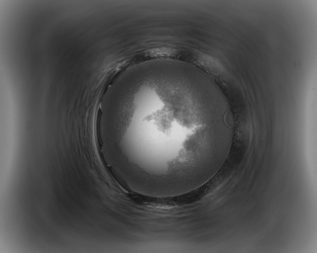 X0000086770743200704201804