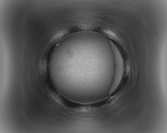 X0000086770744200704201804