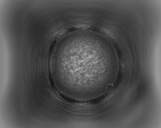 X0000086770745200704201804