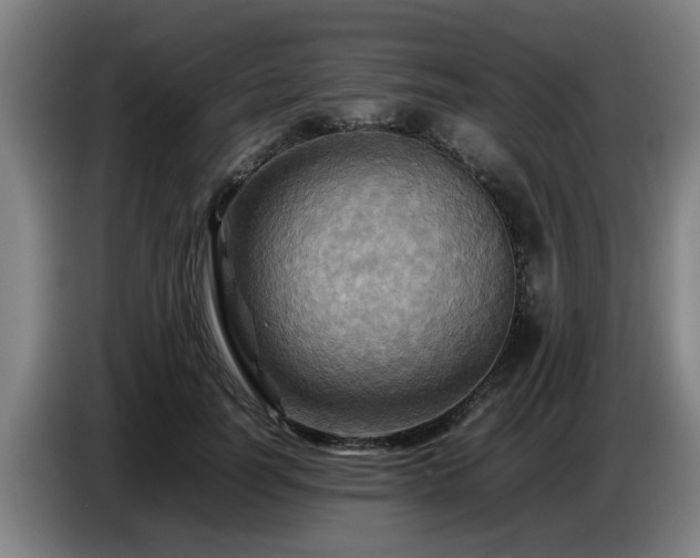 X0000086770746200704201804
