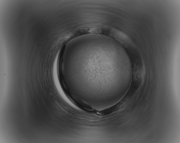 X0000086770748200704201804