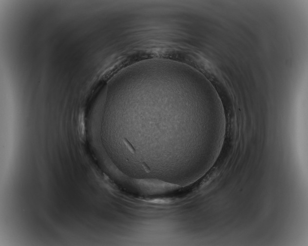 X0000086770750200704201804