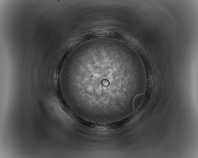 X0000086770753200704201804