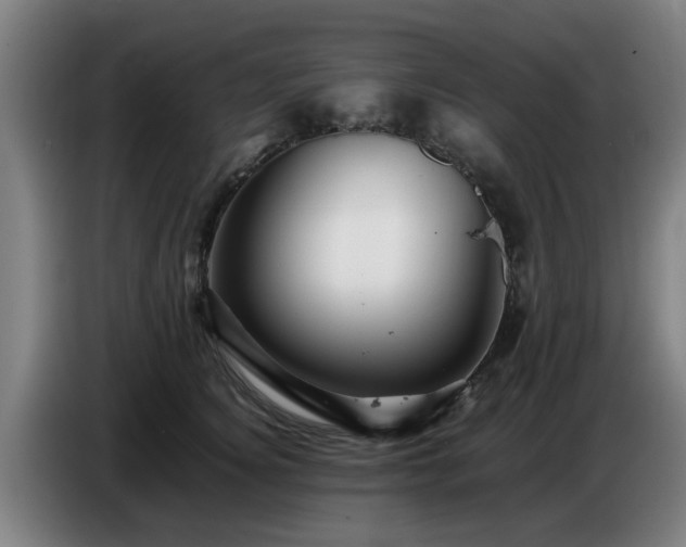 X0000086770756200704201804