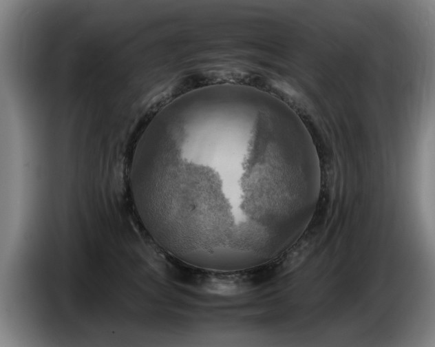 X0000086770757200704201804