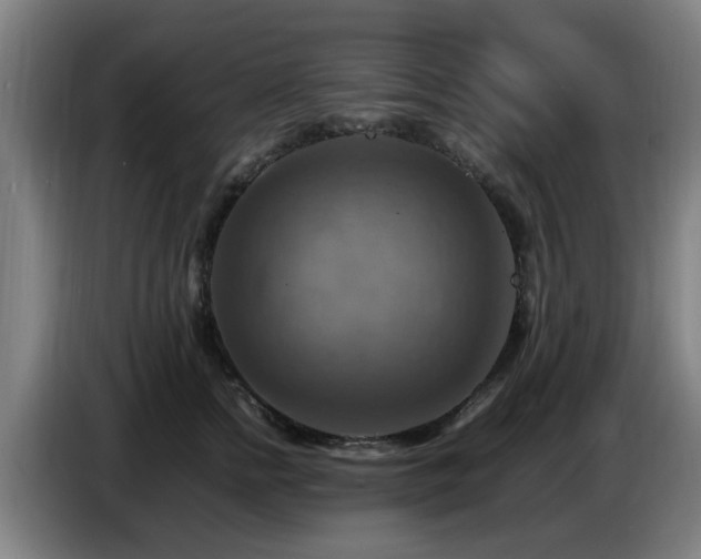 X0000086770758200704201804