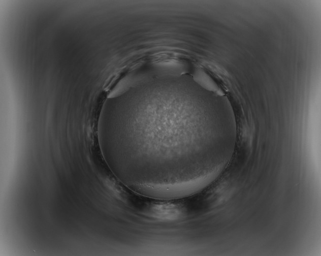 X0000086770759200704201804