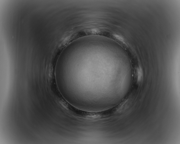 X0000086770760200704201804