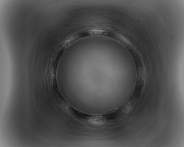 X0000086770761200704201804