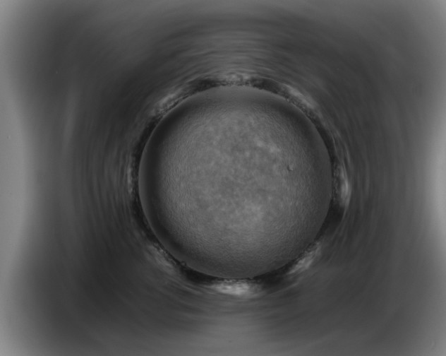 X0000086770762200704201804
