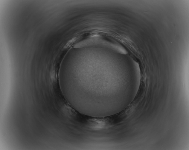 X0000086770763200704201804