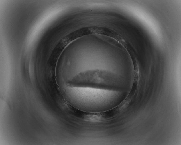 X0000086770765200704201804