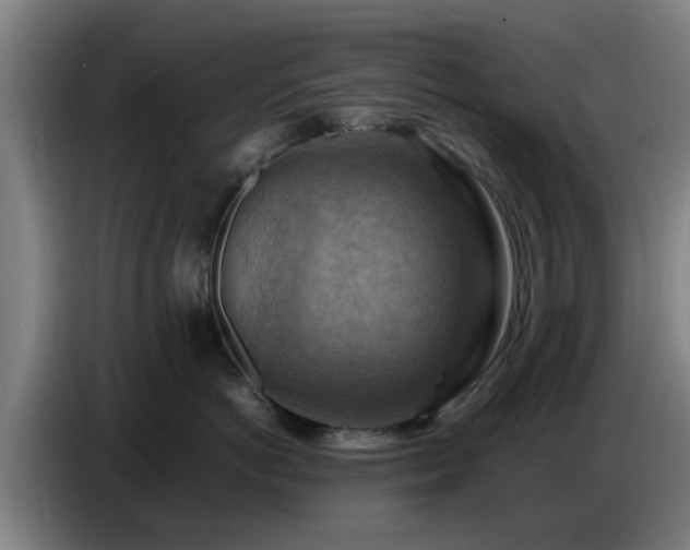 X0000086770766200704201804