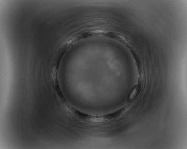X0000086770767200704201804