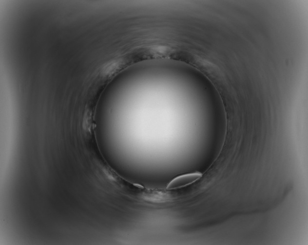 X0000086770768200704201804